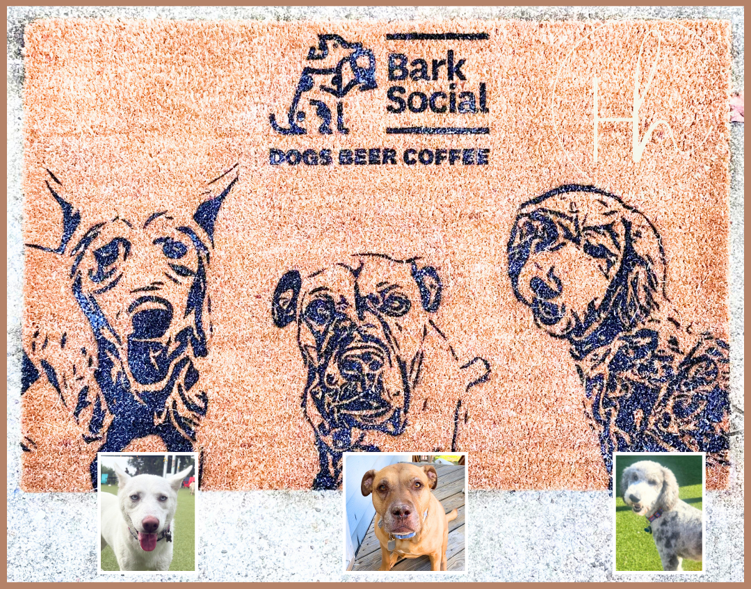 A square Bark Social Dogs Beer Coffee branded mat or print featuring three stylized dog portraits in dark blue on a peach textured background, with three small inset dog photos along the bottom.