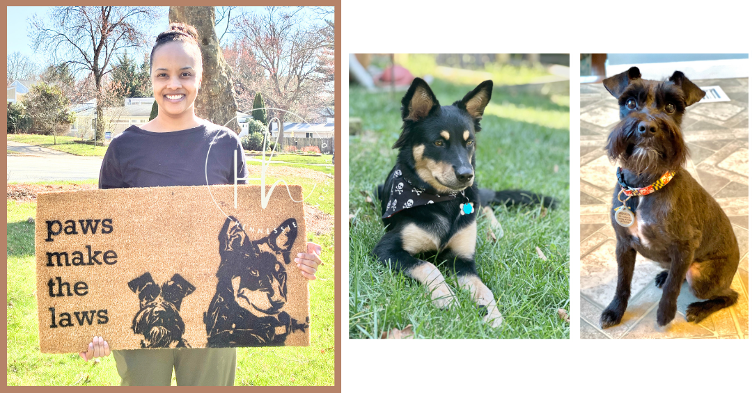 A composite product listing image showing a custom wooden sign with the text 'paws make the laws' and dog illustrations, alongside two photos of dogs outdoors wearing matching collars and tags.