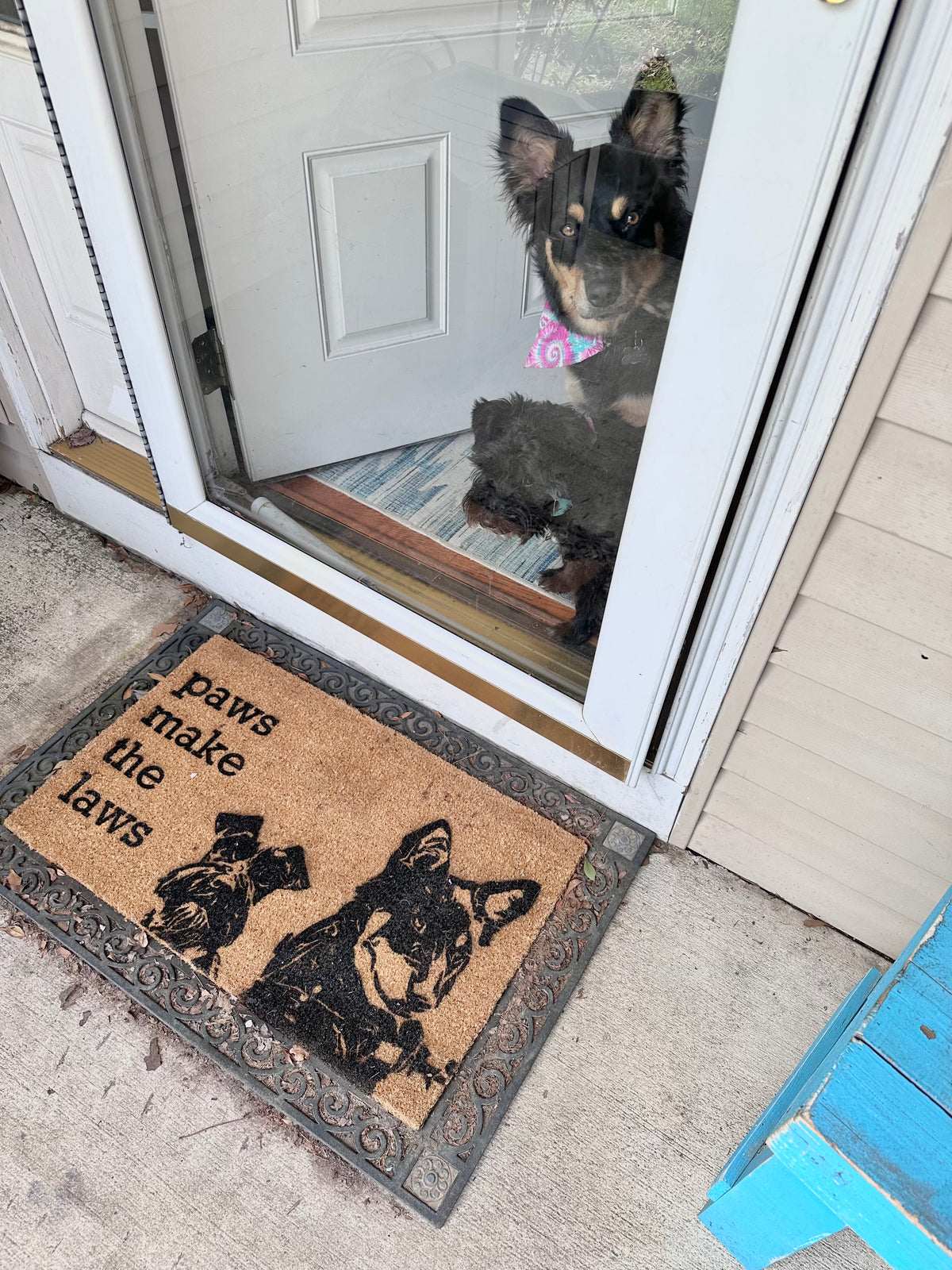 A coir doormat with a black metal border and the text 'paws make the laws' with dog illustrations, placed in front of a glass door where a dog is looking in.