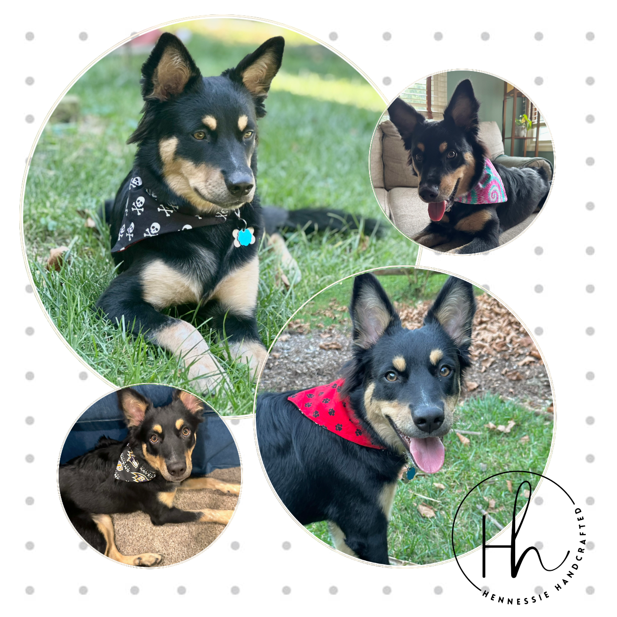 Pet Bandana | Over-the-Collar